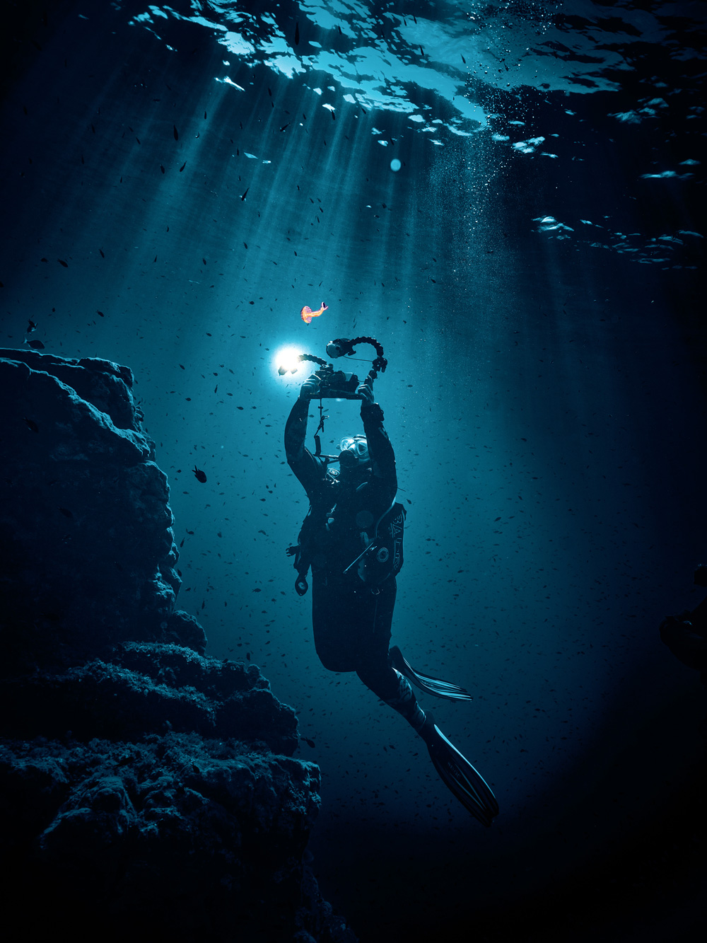 The diver photographer
