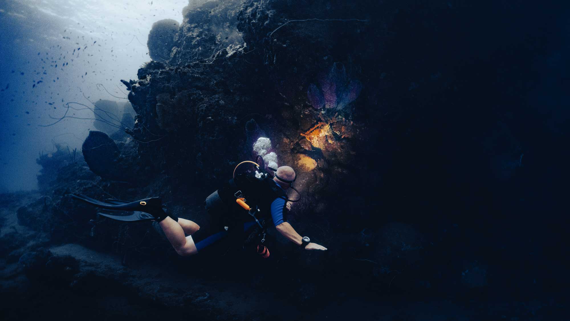 Diver[09]